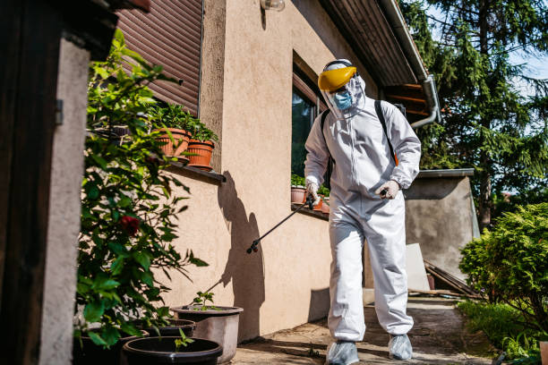 Best Emergency Pest Control  in Orangetree, FL