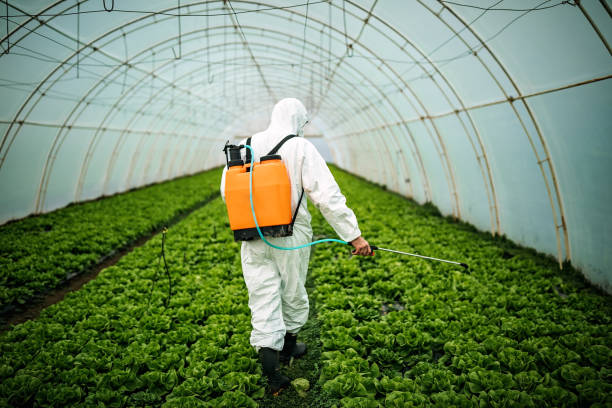 Best Affordable Pest Control Services  in Orangetree, FL