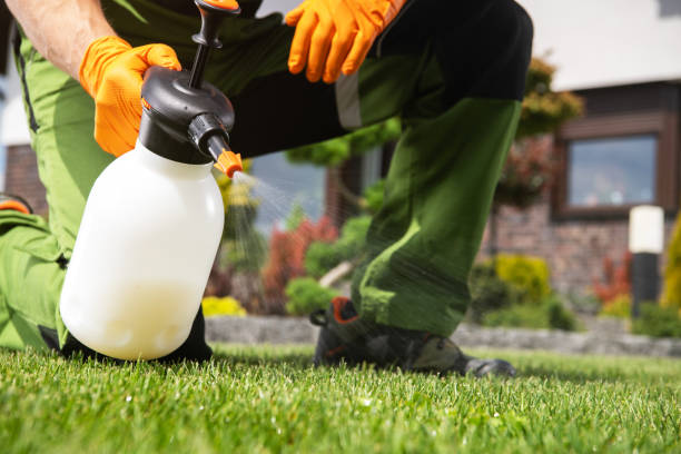 Best Insect Control  in Orangetree, FL