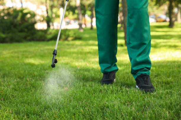 Best Pest Removal Services  in Orangetree, FL