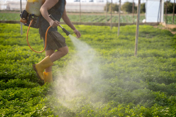 Best Exterminator Services  in Orangetree, FL