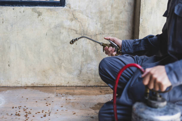 Best Best Pest Control Companies  in Orangetree, FL